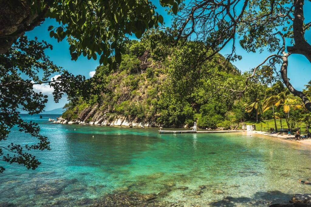 Caraibes Cottage Grenat Piscine Privee 900M De Grande Anse Deshaies Exterior photo