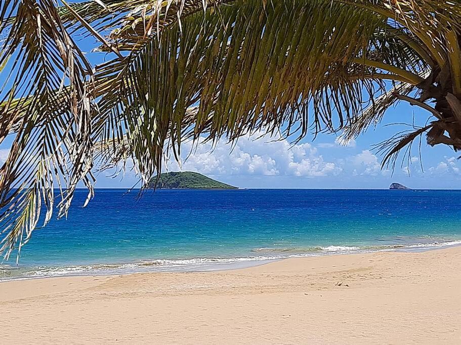 Caraibes Cottage Grenat Piscine Privee 900M De Grande Anse Deshaies Exterior photo