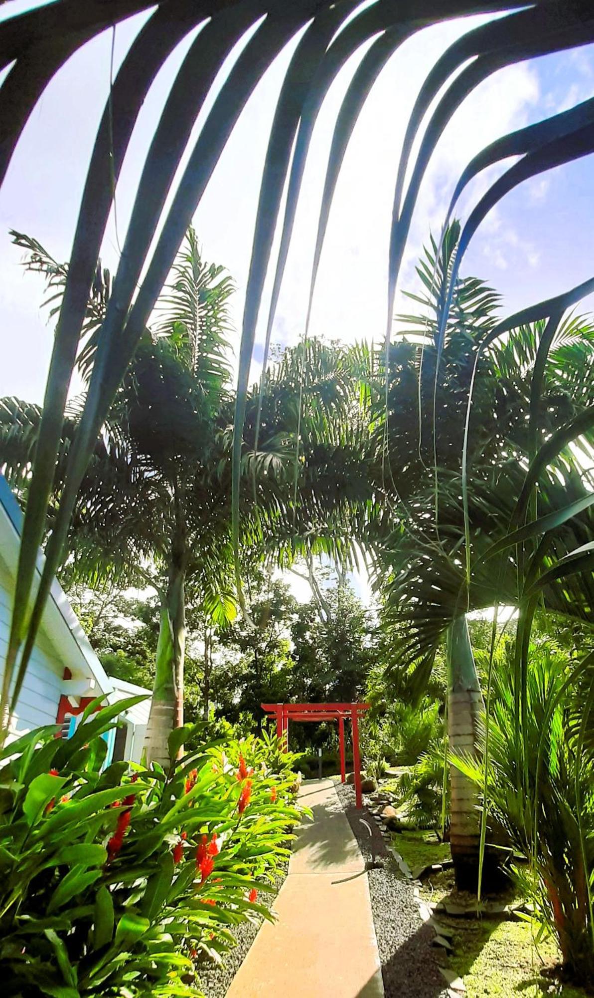 Caraibes Cottage Grenat Piscine Privee 900M De Grande Anse Deshaies Exterior photo
