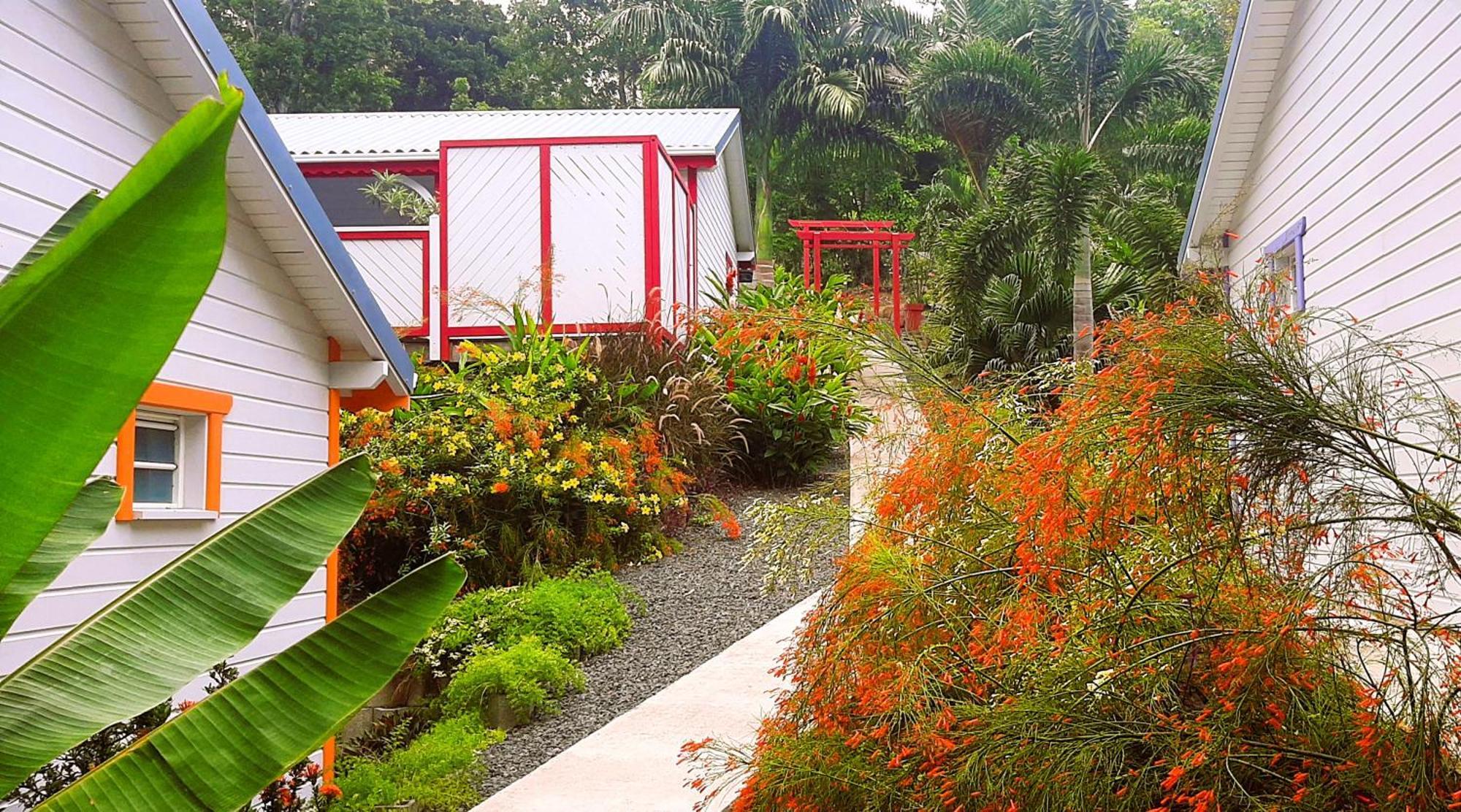 Caraibes Cottage Grenat Piscine Privee 900M De Grande Anse Deshaies Exterior photo